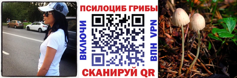 Псилоцибиновые грибы ЛСД  Навашино 